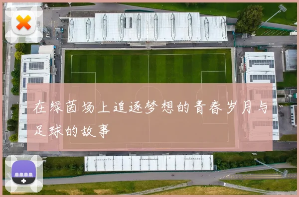 在绿茵场上追逐梦想的青春岁月与足球的故事