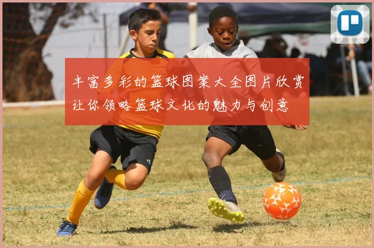 丰富多彩的篮球图案大全图片欣赏让你领略篮球文化的魅力与创意