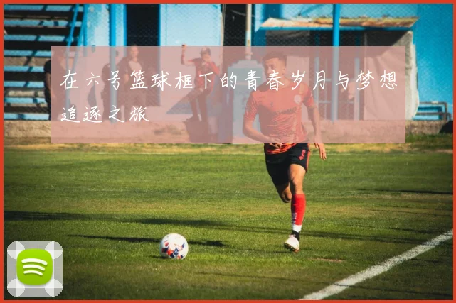 在六号篮球框下的青春岁月与梦想追逐之旅